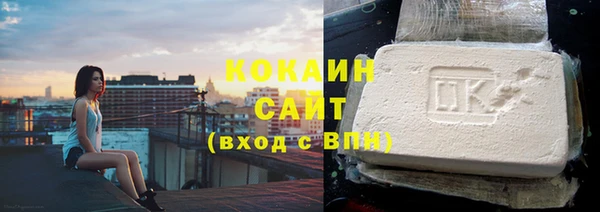индика Алексин