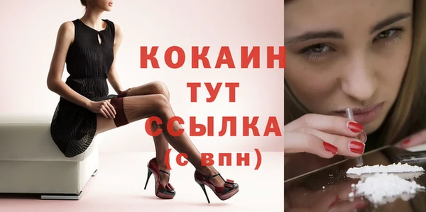 прущие крисы Арсеньев