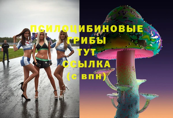 кокс Армянск