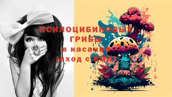 прущие крисы Арсеньев