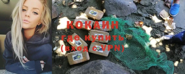 индика Алексин