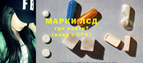 индика Алексин