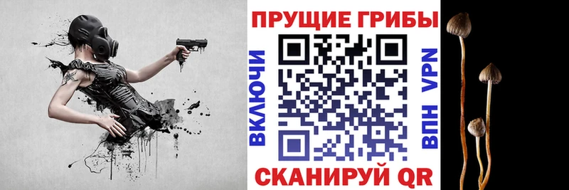 Галлюциногенные грибы мухоморы кракен сайт Аткарск